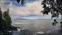 ./images/koeye/fitz-hugh/20250507/fitz-hugh20250507_084010M.jpg