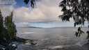 ./images/koeye/fitz-hugh/20250507/fitz-hugh20250507_084511M.jpg