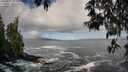 ./images/koeye/fitz-hugh/20250507/fitz-hugh20250507_085009M.jpg