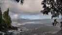 ./images/koeye/fitz-hugh/20250507/fitz-hugh20250507_085509M.jpg