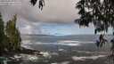 ./images/koeye/fitz-hugh/20250507/fitz-hugh20250507_090011M.jpg