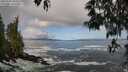 ./images/koeye/fitz-hugh/20250507/fitz-hugh20250507_090510M.jpg