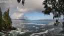 ./images/koeye/fitz-hugh/20250507/fitz-hugh20250507_091010M.jpg