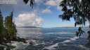 ./images/koeye/fitz-hugh/20250507/fitz-hugh20250507_092509M.jpg