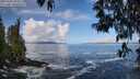 ./images/koeye/fitz-hugh/20250507/fitz-hugh20250507_093010M.jpg