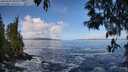 ./images/koeye/fitz-hugh/20250507/fitz-hugh20250507_093508M.jpg