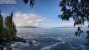 ./images/koeye/fitz-hugh/20250507/fitz-hugh20250507_094010M.jpg