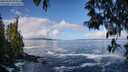 ./images/koeye/fitz-hugh/20250507/fitz-hugh20250507_094511M.jpg