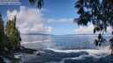 ./images/koeye/fitz-hugh/20250507/fitz-hugh20250507_095010M.jpg