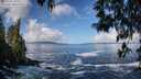 ./images/koeye/fitz-hugh/20250507/fitz-hugh20250507_100012M.jpg