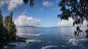 ./images/koeye/fitz-hugh/20250507/fitz-hugh20250507_100510M.jpg