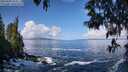 ./images/koeye/fitz-hugh/20250507/fitz-hugh20250507_101010M.jpg