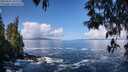 ./images/koeye/fitz-hugh/20250507/fitz-hugh20250507_101509M.jpg