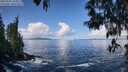 ./images/koeye/fitz-hugh/20250507/fitz-hugh20250507_103011M.jpg