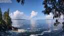 ./images/koeye/fitz-hugh/20250507/fitz-hugh20250507_103507M.jpg