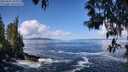 ./images/koeye/fitz-hugh/20250507/fitz-hugh20250507_105011M.jpg