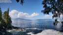 ./images/koeye/fitz-hugh/20250507/fitz-hugh20250507_110508M.jpg