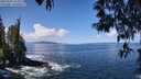 ./images/koeye/fitz-hugh/20250507/fitz-hugh20250507_113510M.jpg