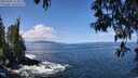 ./images/koeye/fitz-hugh/20250507/fitz-hugh20250507_114010M.jpg