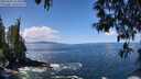 ./images/koeye/fitz-hugh/20250507/fitz-hugh20250507_114507M.jpg