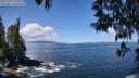 ./images/koeye/fitz-hugh/20250507/fitz-hugh20250507_115011M.jpg