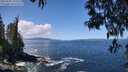 ./images/koeye/fitz-hugh/20250507/fitz-hugh20250507_120510M.jpg