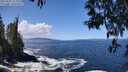 ./images/koeye/fitz-hugh/20250507/fitz-hugh20250507_121010M.jpg