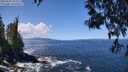 ./images/koeye/fitz-hugh/20250507/fitz-hugh20250507_121510M.jpg