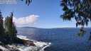 ./images/koeye/fitz-hugh/20250507/fitz-hugh20250507_125010M.jpg