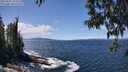 ./images/koeye/fitz-hugh/20250507/fitz-hugh20250507_132509M.jpg