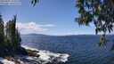 ./images/koeye/fitz-hugh/20250507/fitz-hugh20250507_133510M.jpg