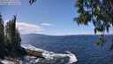 ./images/koeye/fitz-hugh/20250507/fitz-hugh20250507_134010M.jpg