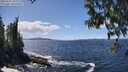 ./images/koeye/fitz-hugh/20250507/fitz-hugh20250507_135510M.jpg
