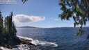 ./images/koeye/fitz-hugh/20250507/fitz-hugh20250507_140510M.jpg