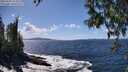 ./images/koeye/fitz-hugh/20250507/fitz-hugh20250507_142510M.jpg