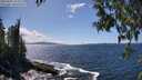 ./images/koeye/fitz-hugh/20250507/fitz-hugh20250507_144510M.jpg