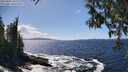 ./images/koeye/fitz-hugh/20250507/fitz-hugh20250507_145509M.jpg
