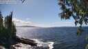 ./images/koeye/fitz-hugh/20250507/fitz-hugh20250507_150510M.jpg