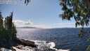 ./images/koeye/fitz-hugh/20250507/fitz-hugh20250507_151009M.jpg
