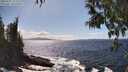 ./images/koeye/fitz-hugh/20250507/fitz-hugh20250507_152510M.jpg