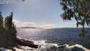 ./images/koeye/fitz-hugh/20250507/fitz-hugh20250507_153510M.jpg
