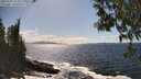./images/koeye/fitz-hugh/20250507/fitz-hugh20250507_154010M.jpg