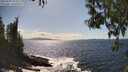 ./images/koeye/fitz-hugh/20250507/fitz-hugh20250507_154511M.jpg