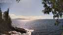 ./images/koeye/fitz-hugh/20250507/fitz-hugh20250507_155510M.jpg