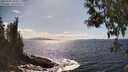 ./images/koeye/fitz-hugh/20250507/fitz-hugh20250507_160011M.jpg