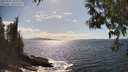 ./images/koeye/fitz-hugh/20250507/fitz-hugh20250507_160508M.jpg