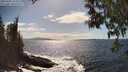./images/koeye/fitz-hugh/20250507/fitz-hugh20250507_161010M.jpg
