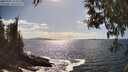 ./images/koeye/fitz-hugh/20250507/fitz-hugh20250507_162009M.jpg