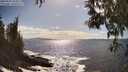 ./images/koeye/fitz-hugh/20250507/fitz-hugh20250507_163011M.jpg