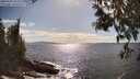 ./images/koeye/fitz-hugh/20250507/fitz-hugh20250507_163507M.jpg